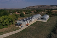 organic walnut farm modern - 1