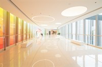 established shopping mall center - 1