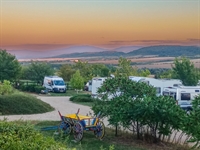 charming established campsite beautiful - 3